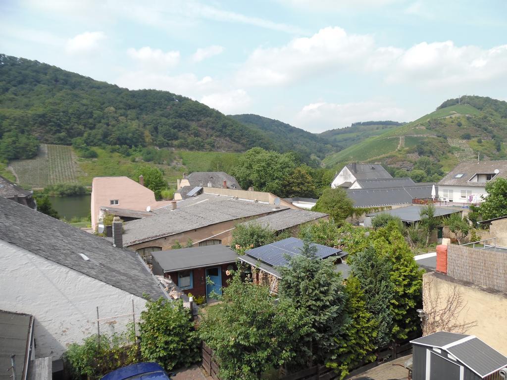 Ferienwohnung In Vino Veritas Neumagen-Dhron Exterior foto